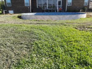 Project: A swimming pool in the middle of a grassy yard.